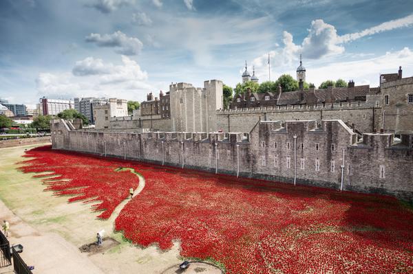 Tower of London poppy installation