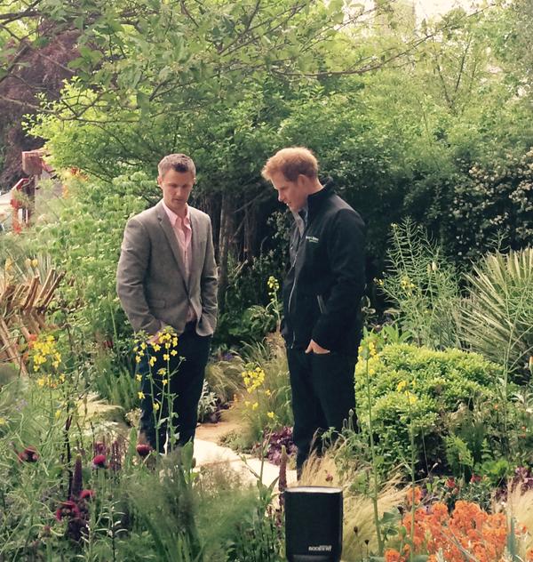 Prince Harry Sentebale garden Chelsea Flower Show 2015