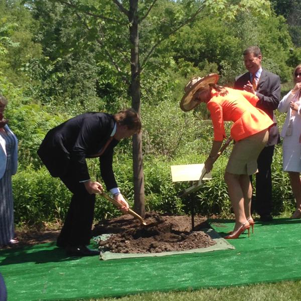 Maxima and Willem-Alexander plant a tree