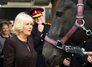 Camilla meets horses1